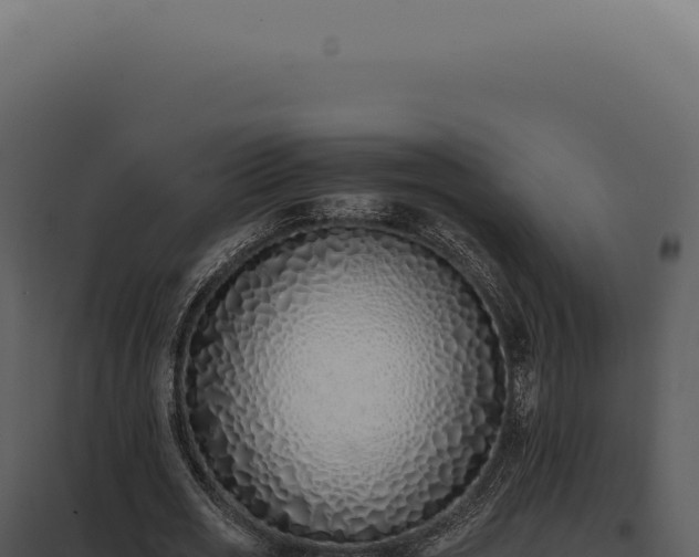 X0000097980725200804011744