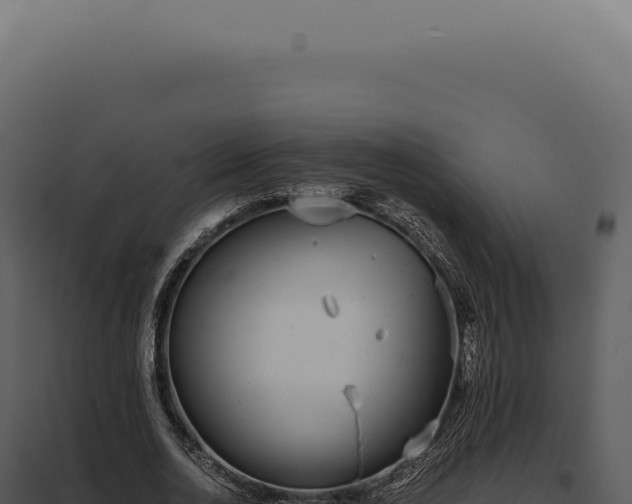 X0000097980726200804011744