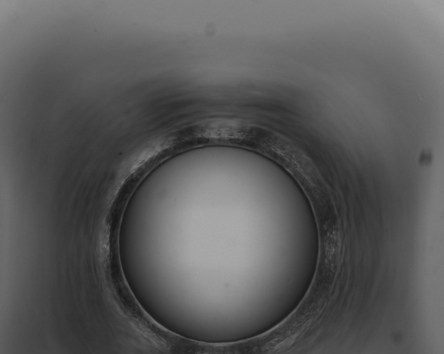 X0000097980727200804011744