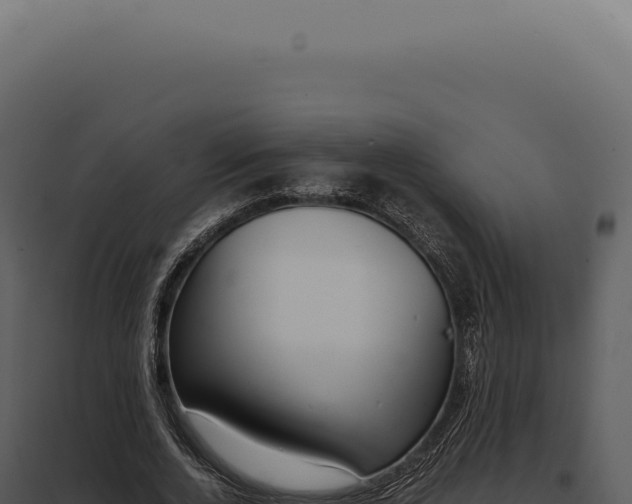 X0000097980728200804011744