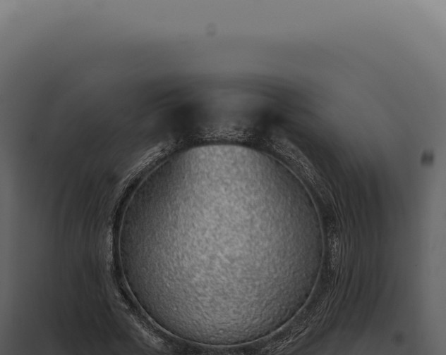 X0000097980729200804011744