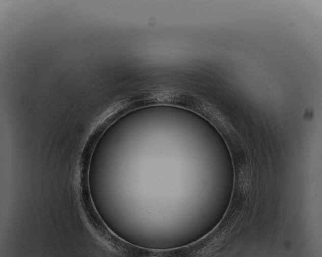 X0000097980730200804011744