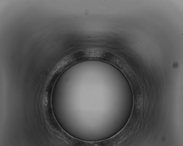 X0000097980731200804011744