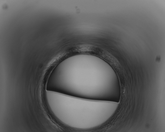 X0000097980732200804011744