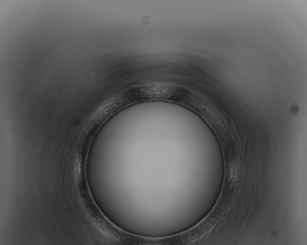 X0000097980733200804011744