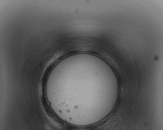 X0000097980734200804011744