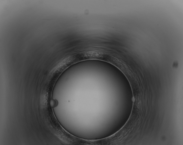 X0000097980735200804011744