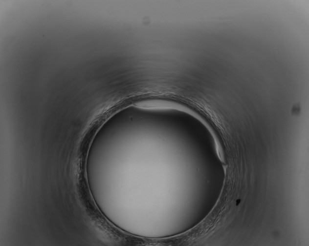 X0000097980736200804011744