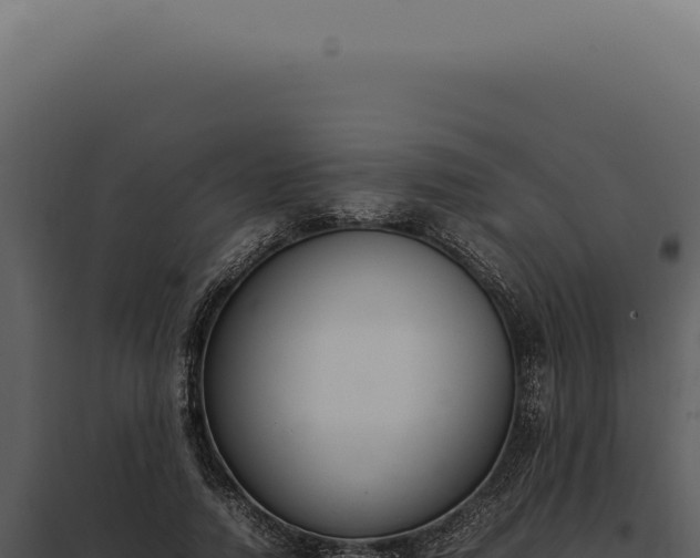 X0000097980738200804011744