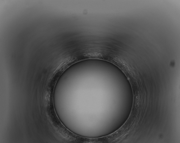 X0000097980739200804011744