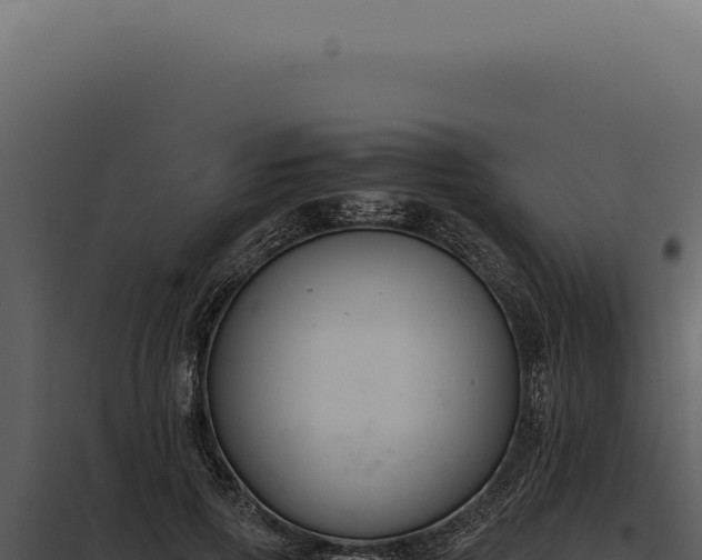 X0000097980741200804011744