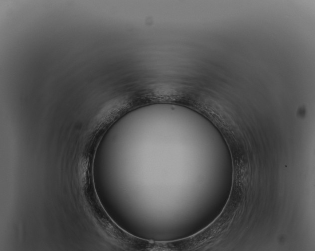 X0000097980742200804011744