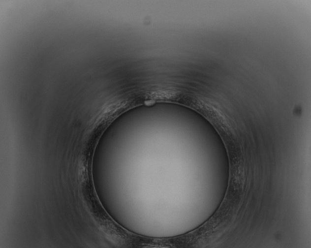 X0000097980743200804011744