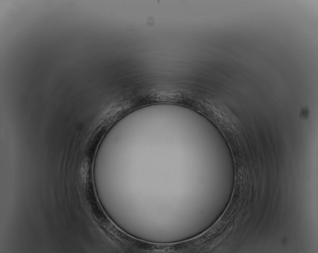 X0000097980744200804011744