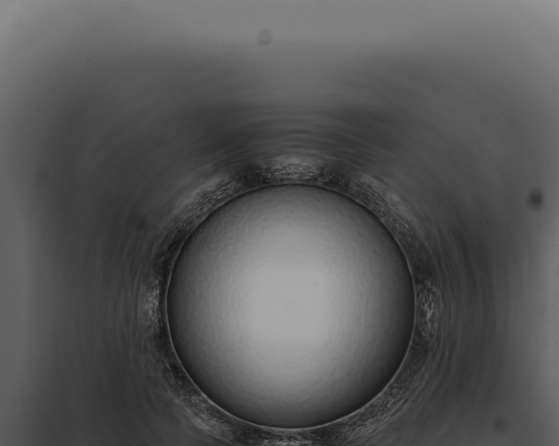 X0000097980745200804011744
