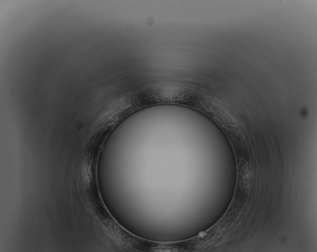 X0000097980746200804011744