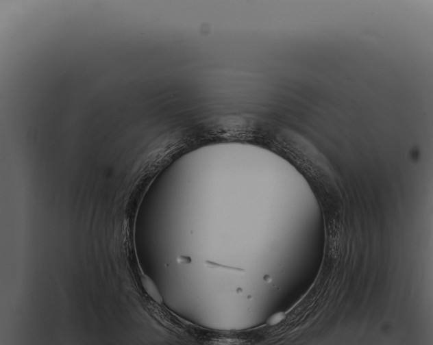 X0000097980748200804011744