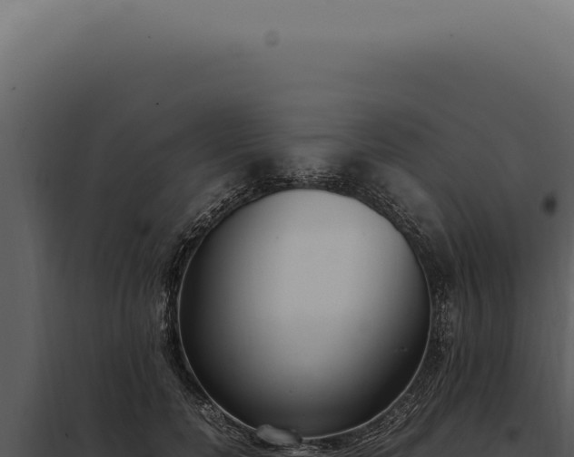 X0000097980750200804011744