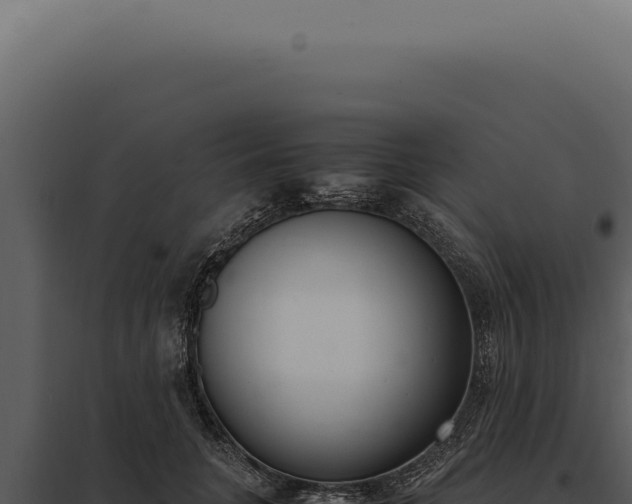 X0000097980751200804011744