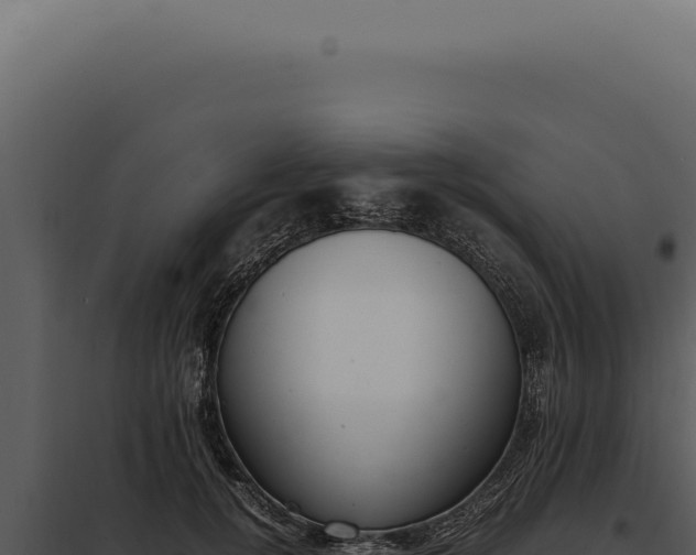 X0000097980752200804011744
