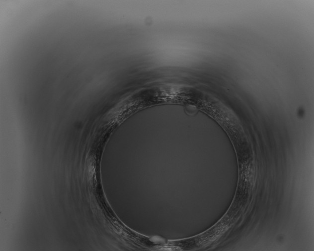 X0000097980754200804011744