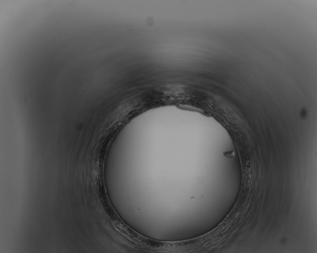 X0000097980756200804011744