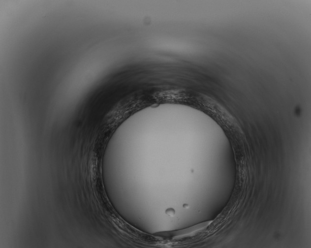 X0000097980760200804011745