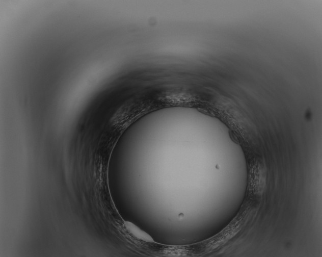 X0000097980762200804011745