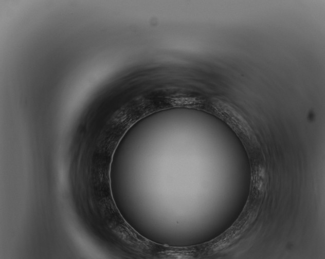 X0000097980763200804011745