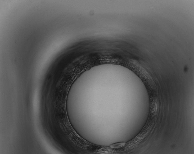X0000097980764200804011745