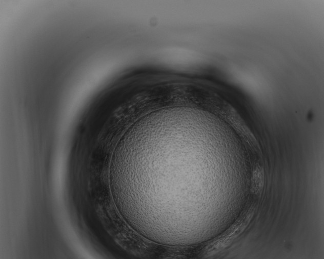 X0000097980765200804011745