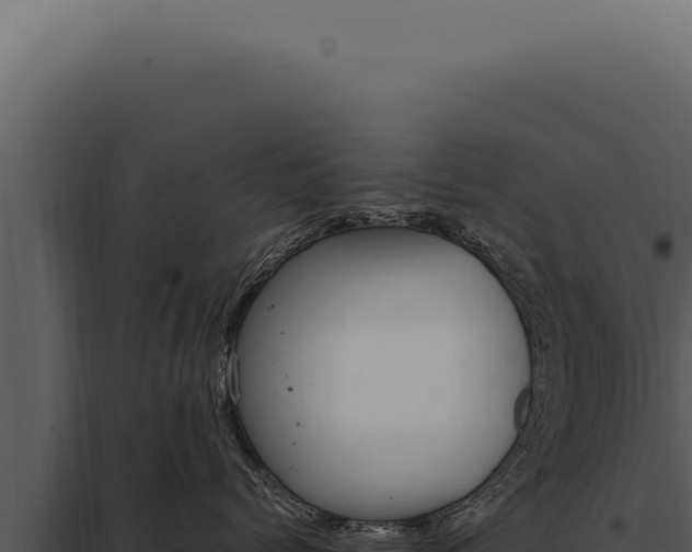 X0000097980768200804011745