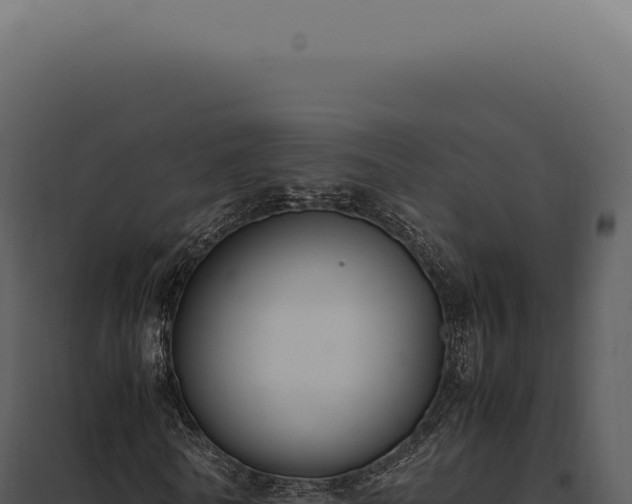 X0000097980770200804011744