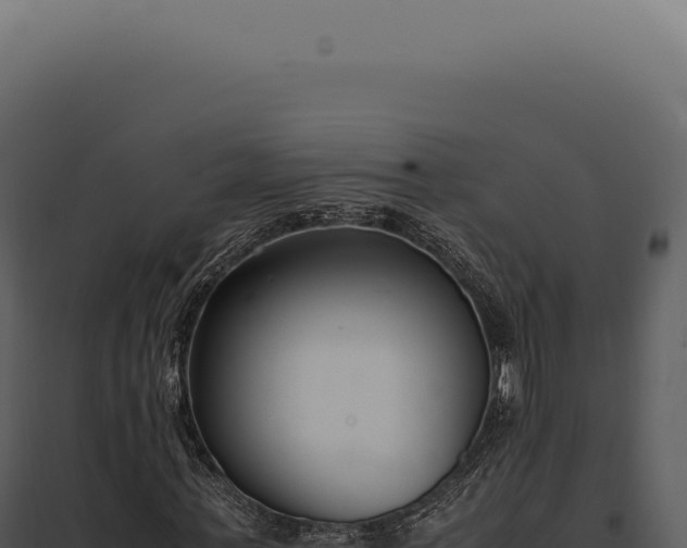 X0000097980771200804011744