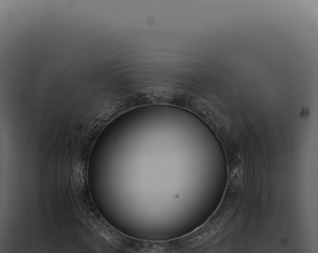 X0000097980772200804011744