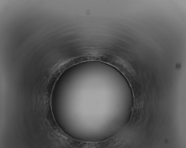 X0000097980773200804011744