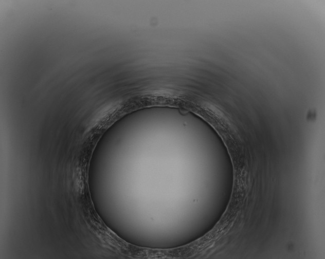 X0000097980774200804011744