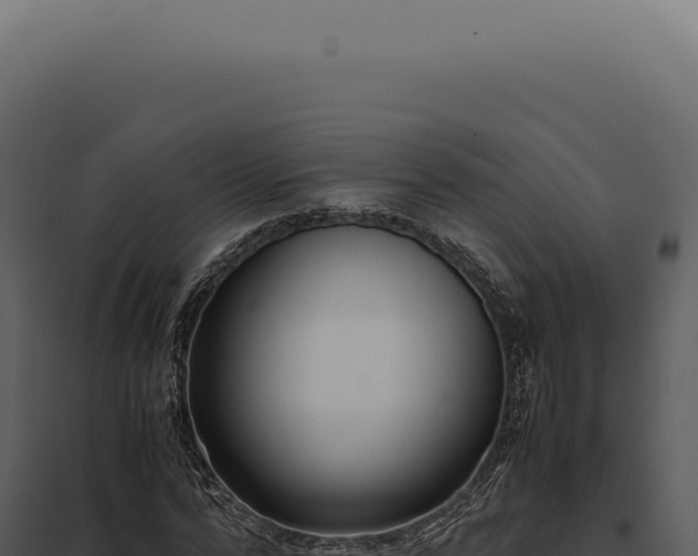 X0000097980776200804011744