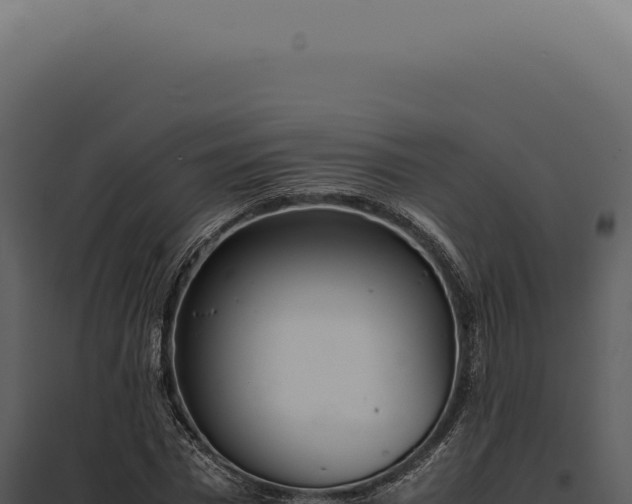 X0000097980777200804011744