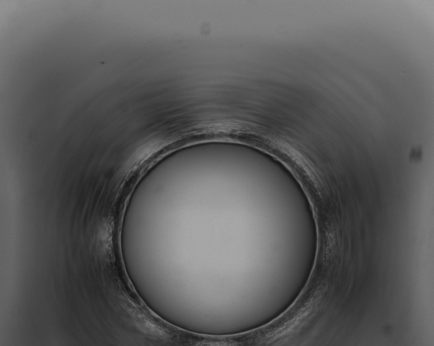 X0000097980778200804011744