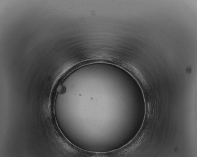 X0000097980780200804011744