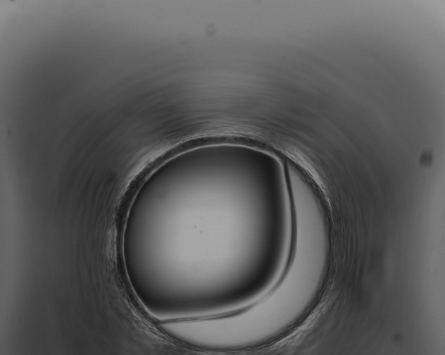 X0000097980781200804011744