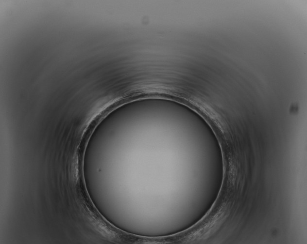 X0000097980782200804011744