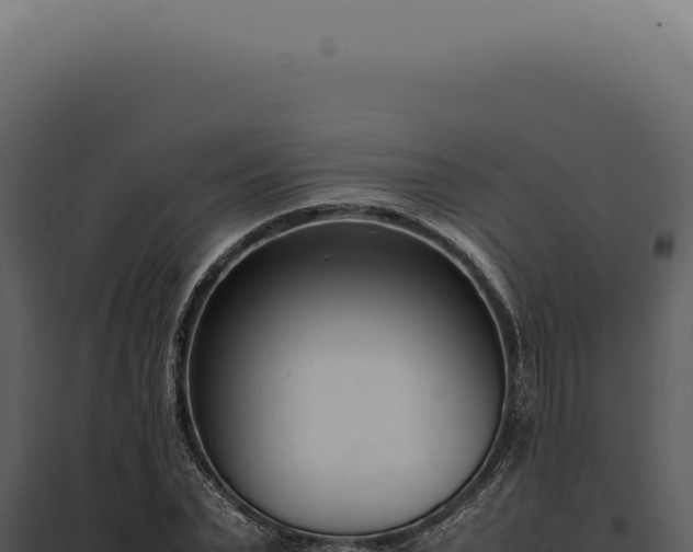X0000097980783200804011744