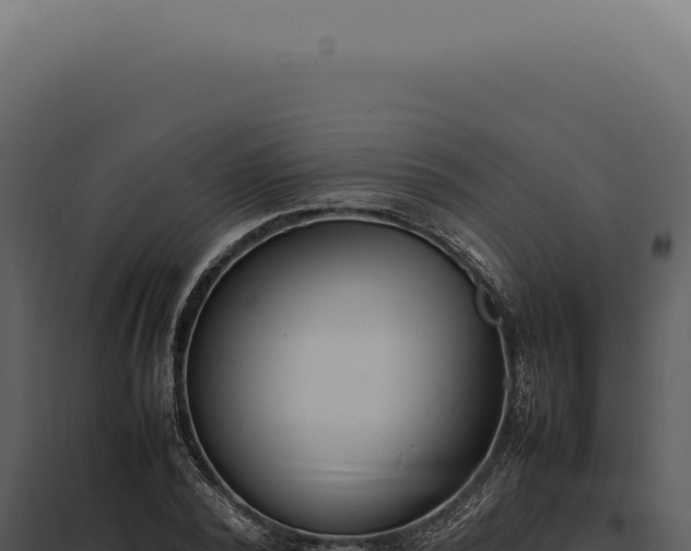 X0000097980784200804011744