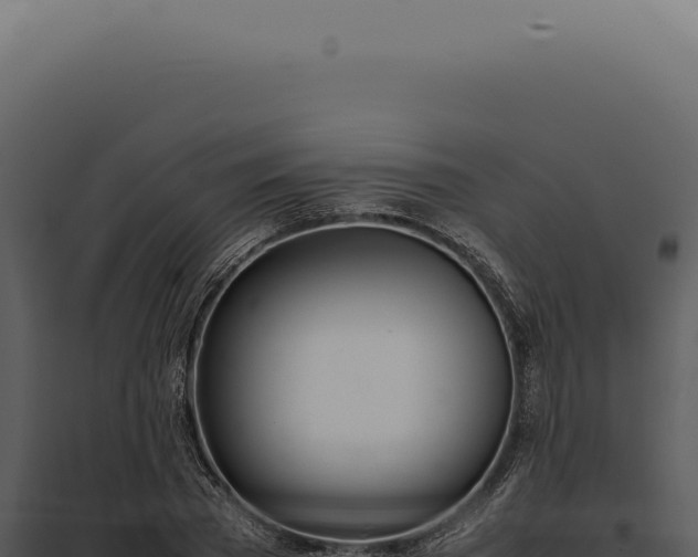 X0000097980785200804011744