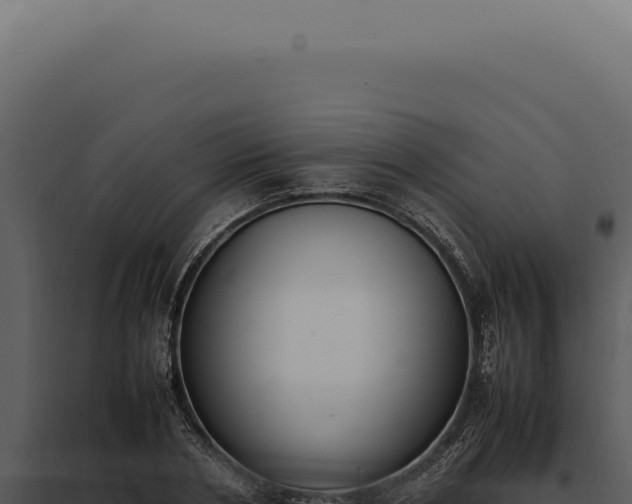 X0000097980786200804011744