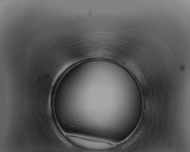 X0000097980788200804011744