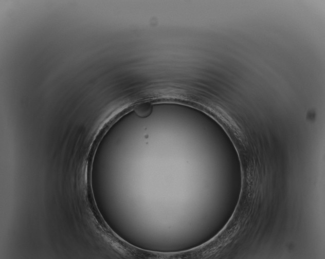 X0000097980790200804011744