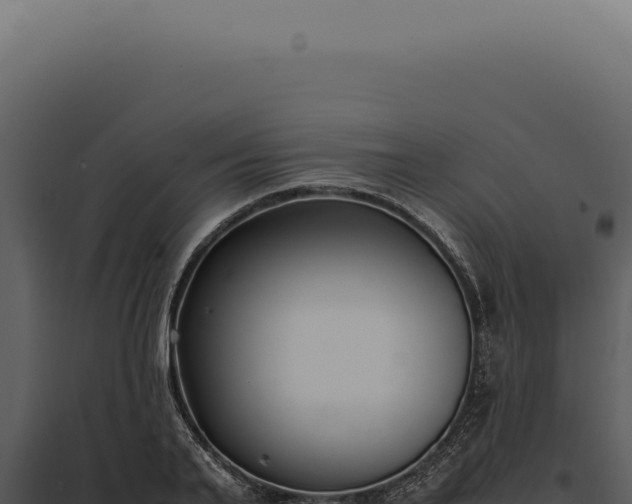 X0000097980791200804011744